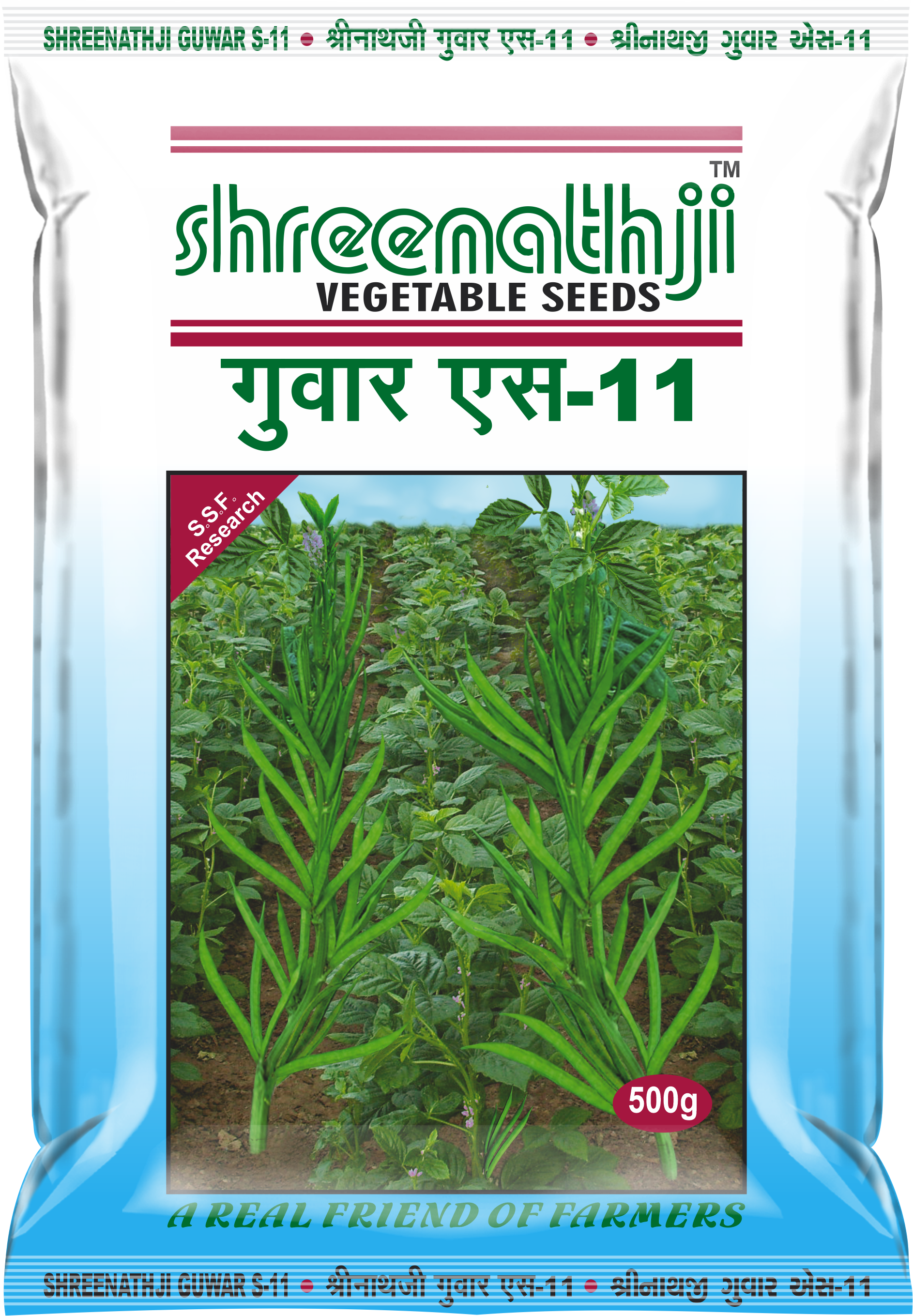 ગુવાર  S.11